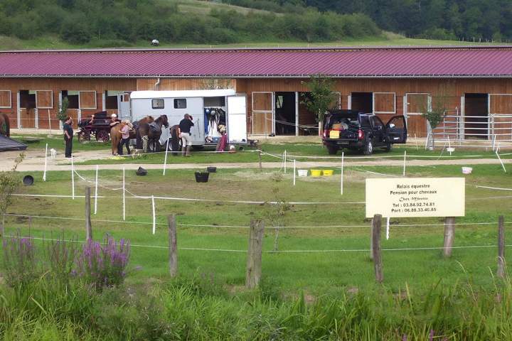 Pension pour chevaux Vy-lès-Rupt