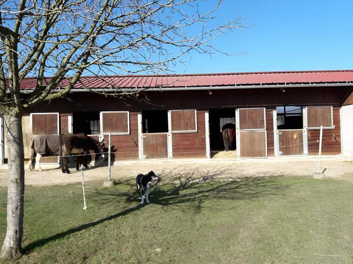 Hébergement équin Vy-lès-Rupt