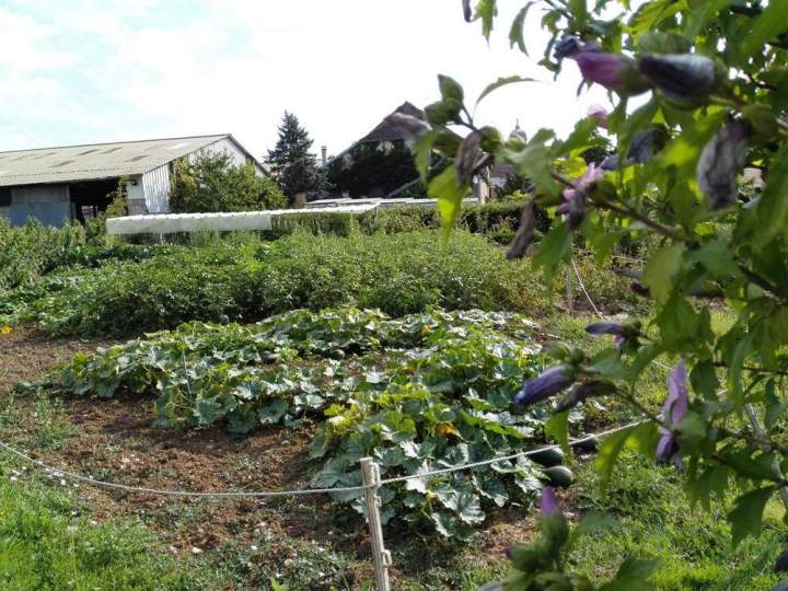 Jardin potager Vy-lès-Rupt